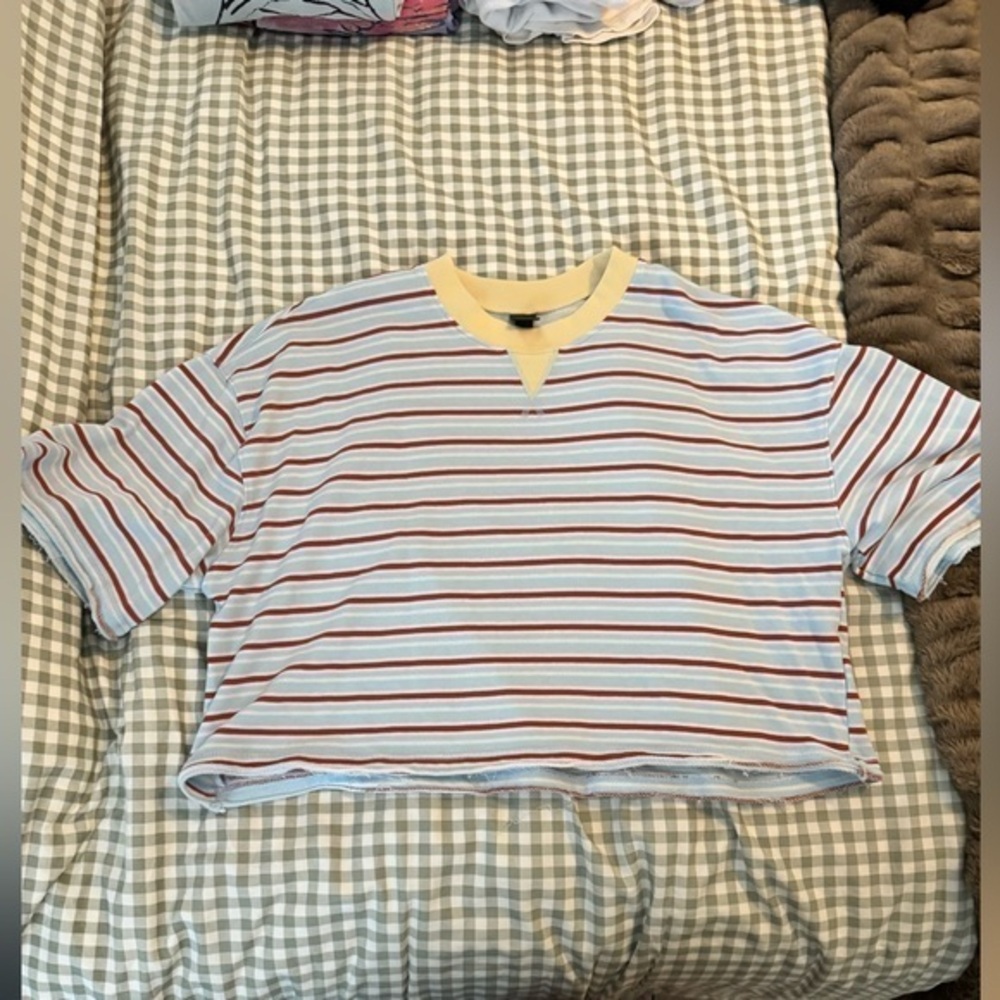 Wild Fable cropped tee
